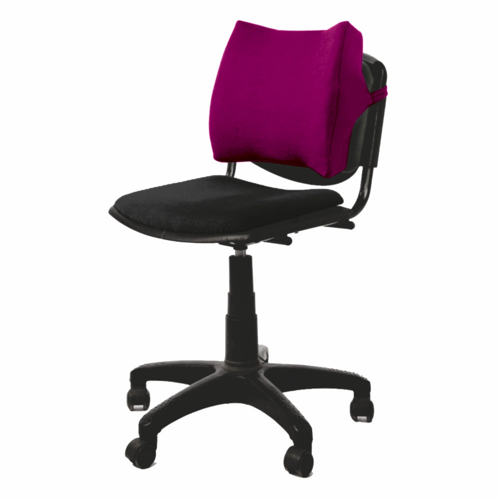 Vissco Orthopaedic Back Rest | Helps to Correct Posture of the Low Back, Reduces Postural back pain