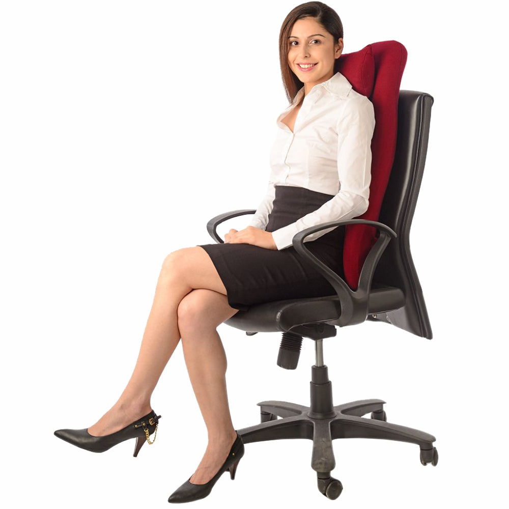 ORTHOPAEDIC BACK SUPPORT – LONG - Vissco Rehabilitation 